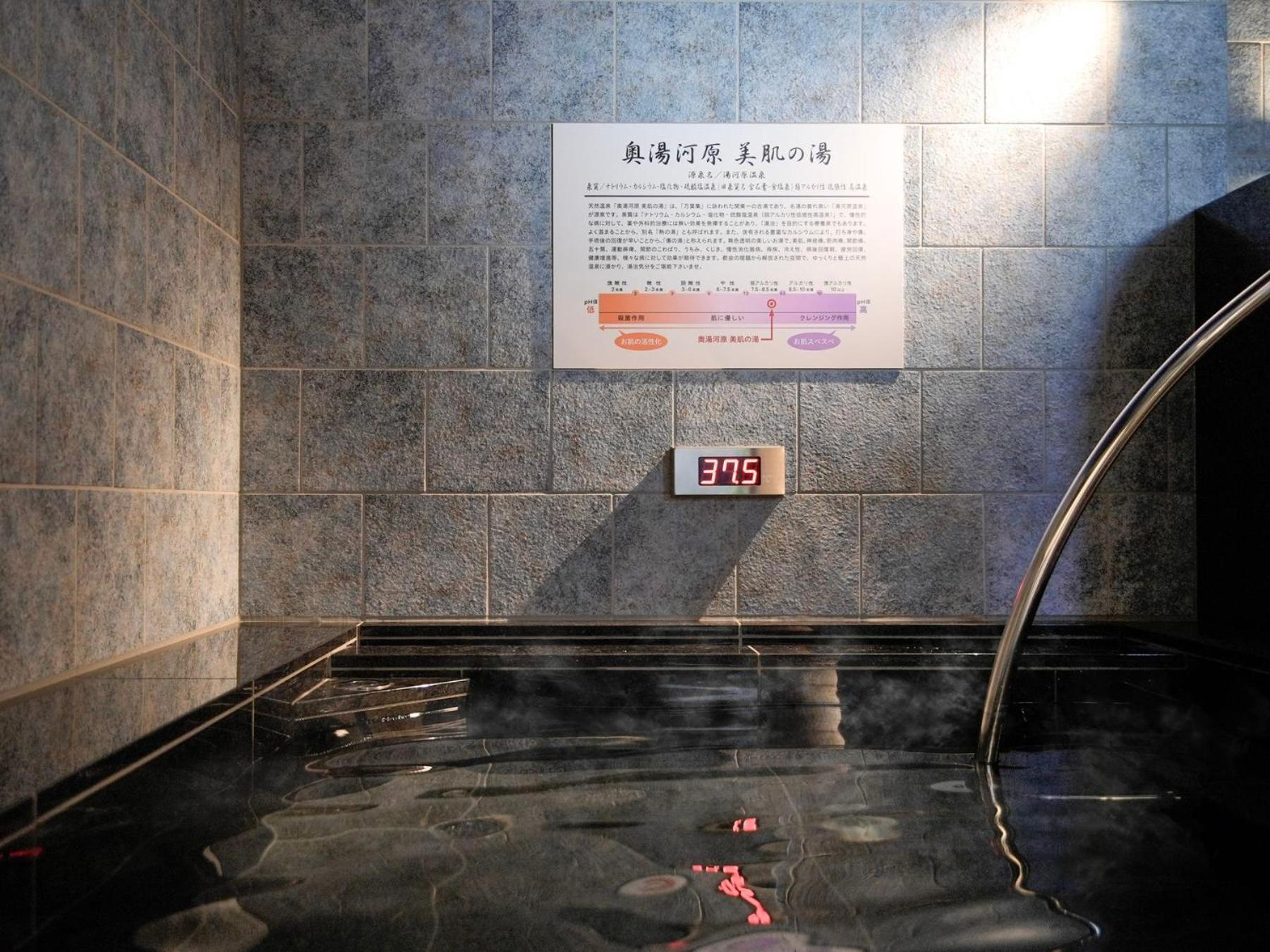 Super Premier Ikebukuro Natural Hot Spring 3* โตเกียว